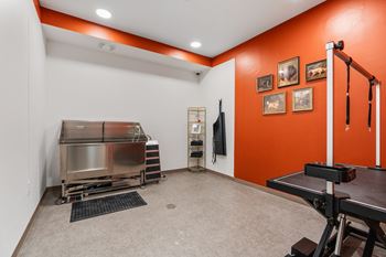 A room with orange walls and a stainless steel table.
